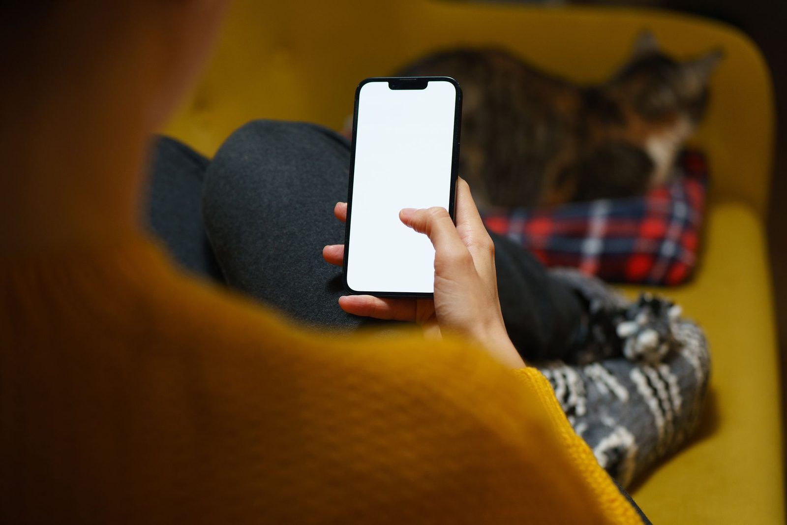 Osoba w żółtym swetrze trzymająca smartfon z białym ekranem, siedząca obok kota na fotelu