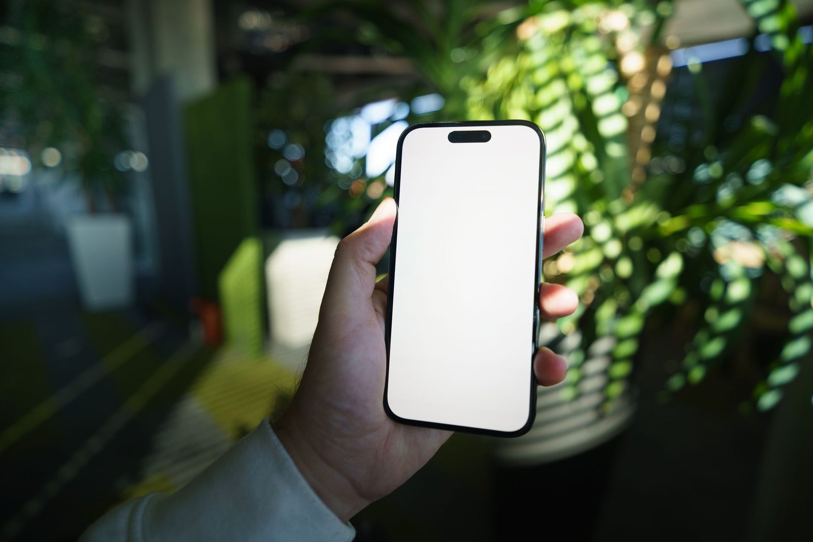 Hand hält ein Smartphone mit leerem weißem Display, im unscharfen Hintergrund grüne Pflanzen